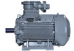 Standard  motors  range  0.18 to  315 (kw)
              Frame  63 to  355